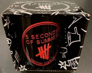 5 SECONDS OF SUMMER Derping Since 2011 MUG (11oz) (mug309) (Brand New In Box)