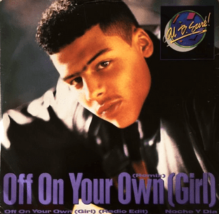 Al B. Sure! - Off On Your Own (Girl) (12") (G-/G-)