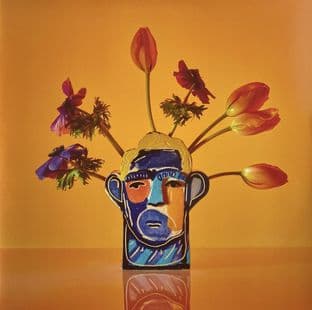 Alexis Taylor - Beautiful Thing (LP) (Orange Vinyl) (NM/NM)