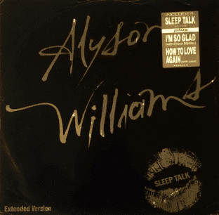 Alyson Williams - Sleep Talk (12") (G-/G-)