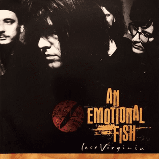 An Emotional Fish - Lace Virginia (7") (EX-/VG+)