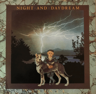 Ananta - Night And Daydream (LP) (Promo) (VG+/G+)
