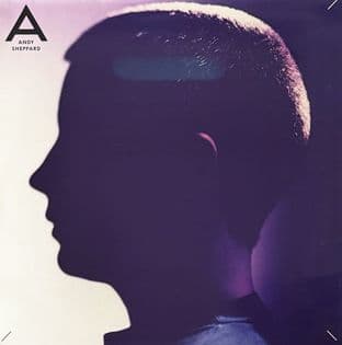 Andy Sheppard - Andy Sheppard (LP) (VG-EX/VG-)