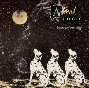 Animal Logic - Someday We'll Understand (12") (G++/G-VG)