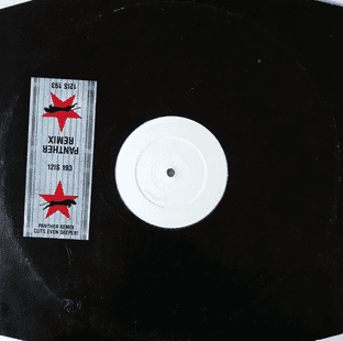 Animal Nightlife - Mr Solitaire (Panther Remix) (12") (Promo) (VG-/G+)