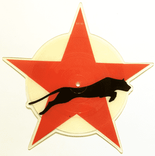 ANIMAL NIGHTLIFE - Mr Solitaire (Panther Remix) (7") (Shaped Picture Disc) (EX/EX)