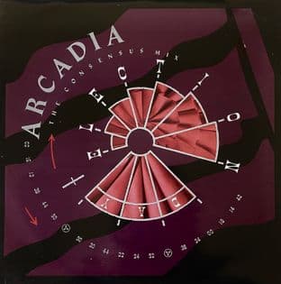 Arcadia - Election Day (The Consensus Mix) (12") (VG/VG-)