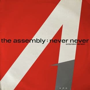 Assembly (The) - Never Never (12") (VG-/VG-) (1)