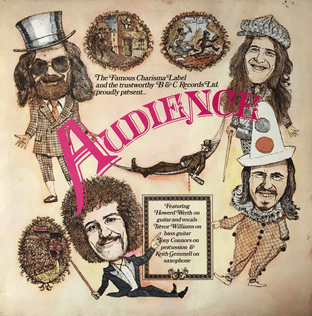 Audience - Audience (LP) (VG/G++)