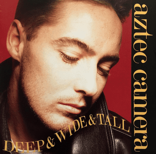 Aztec Camera - Deep & Wide & Tall (Breakdown Mix) (12") (VG+/VG+)