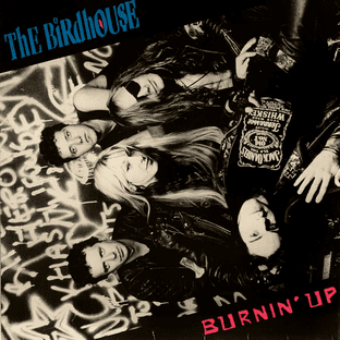 Birdhouse (The) - Burnin' Up (LP) (VG-/G-VG)