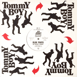 Blak Panta - Do What U Want (12") (G/VG)