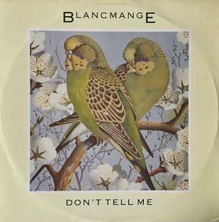 Blancmange - Don't Tell Me (12") (VG-EX/VG)