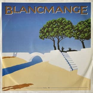 Blancmange - Feel Me (12") (VG-EX/VG-)