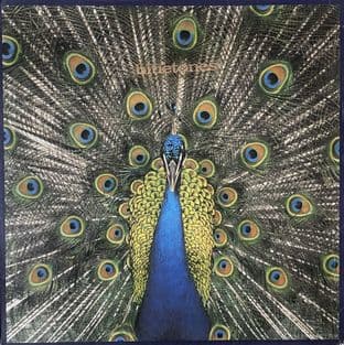 Bluetones (The) - Expecting To Fly ( LP) (VG-/G-VG)