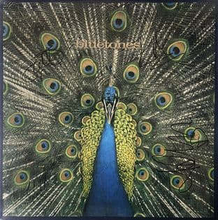 Bluetones (The) - Expecting To Fly (Ltd LP) (Signed) (EX+/EX)