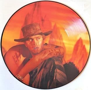 Boys Don't Cry - I Wanna Be A Cowboy (12") (Picture Disc) (EX/NM) (4)