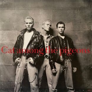 Bros - Cat Among The Pigeons (12") (VG-/G+)