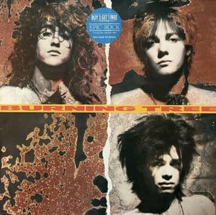 Burning Tree - Burning Tree (LP) (1st Pressing) (EX/VG)