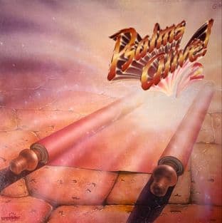 Cavalry Chapel Worship Community (The) - Psalms Alive! 2 (LP) (VG-/VG-)