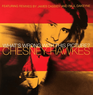 Chesney Hawkes - What's Wrong With This Picture? (12") (VG-EX/EX+)