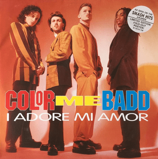 Color Me Badd - I Adore Mi Amor (12") (EX+/EX-)