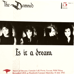 Damned (The) - Is It A Dream (12") (VG/VG)