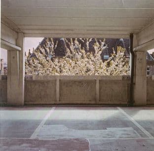 Darkstar - Foam Island (LP) (EX-/VG+)