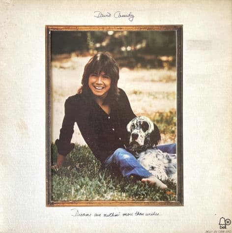 David Cassidy - Dreams Are Nuthin' More Than Wishes (LP) (G++/G++)