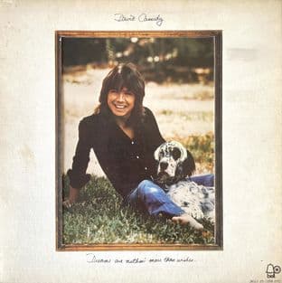 David Cassidy - Dreams Are Nuthin' More Than Wishes (LP) (G++/G++)