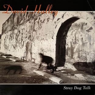 David Halley - Stray Dog Talk (LP) (VG-/G+)
