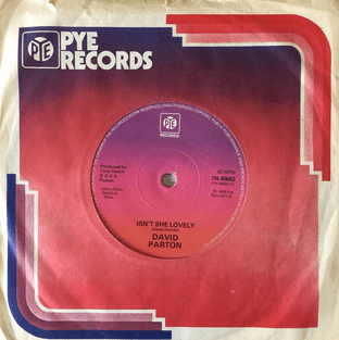 David Parton - Isn't She Lovely (7") (VG/G)
