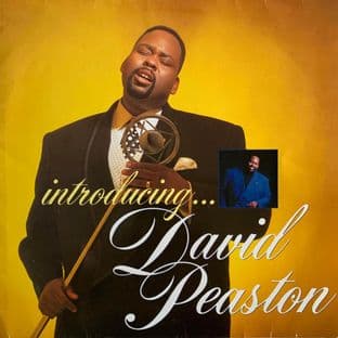 David Peaston - Introducing... David Peaston (LP) (G++/G++)