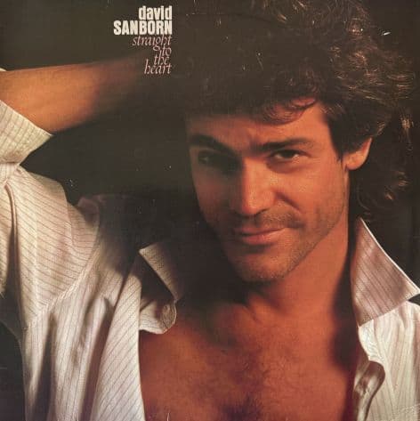 David Sanborn - Straight To The Heart (LP) (EX/VG)