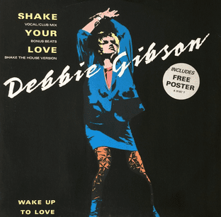Debbie Gibson - Shake Your Love (12") (VG+/VG)
