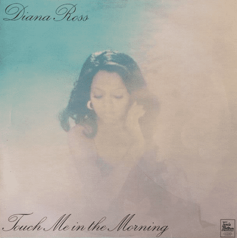 Diana Ross ‎- Touch Me In The Morning (LP) (VG/G++)