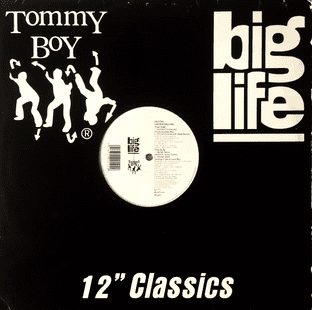 Digital Underground - Doowutchyalike (12") (VG/G)