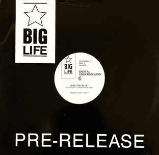 Digital Underground - Kiss You Back (12") (Promo) (VG/G)