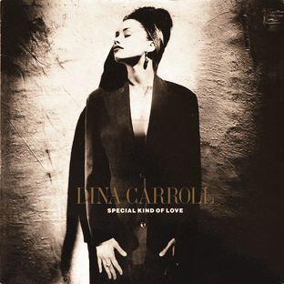 Dina Carroll - Special Kind Of Love (7") (EX-/G+)