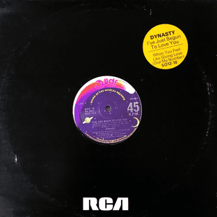 Dynasty - I've Just Begun To Love You (12") (VG/VG-)