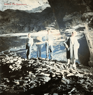 Echo & The Bunnymen - Silver (7") (EX-/VG-)