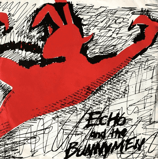 Echo & The Bunnymen - The Pictures On My Wall (7") (VG-/VG-)