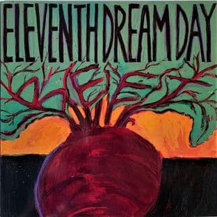 Eleventh Dream Day - Beet (LP) (EX-/VG+)