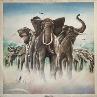 Elvis Costello And The Attractions - Armed Forces (LP) (VG/VG-)