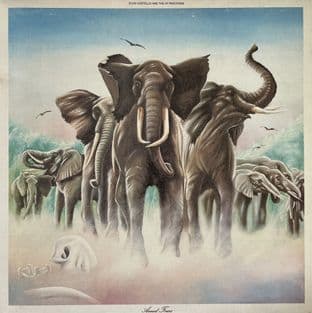 Elvis Costello And The Attractions - Armed Forces (LP) (VG+/VG+)