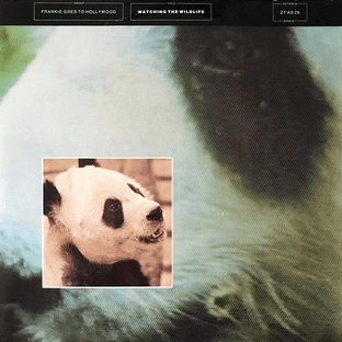 Frankie Goes To Hollywood - Watching The Wildlife (7") (VG+/VG)