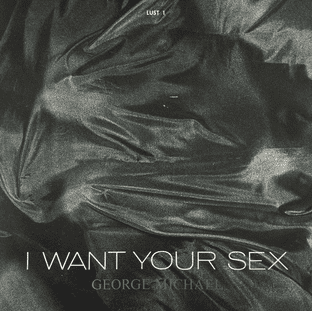 George Michael - I Want Your Sex (7") (G+/VG)