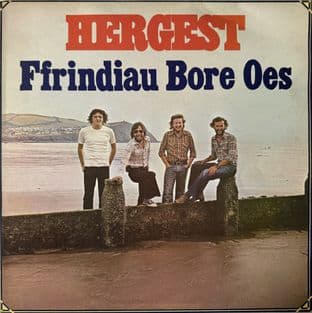 Hergest - Ffrindiau Bore Oes (LP) (1st Pressing) (VG+/VG+)
