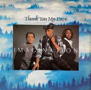 Imagination - Thank You My Love (12") (VG/G-VG)
