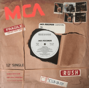 Immature ft Smooth - We Got It (12") (Promo) (VG-/VG)